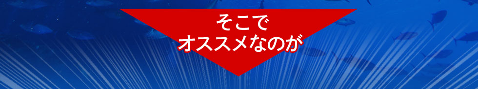 そこでオススメなのが