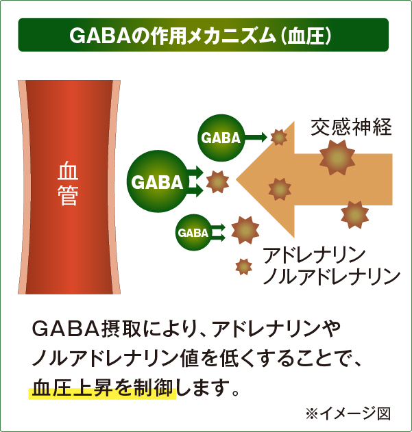 メカニズム1