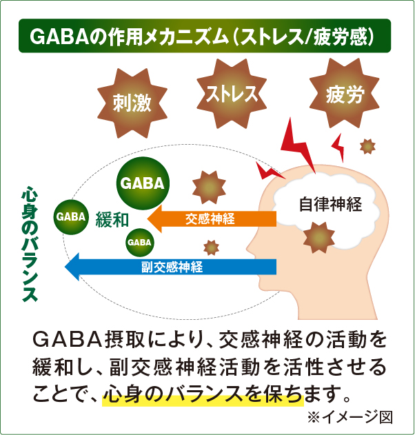 メカニズム2